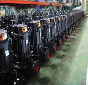 China HT200 Grey Cast Iron Sewage Pump High Pressure Copper Wire Motor Custom Color wholesale
