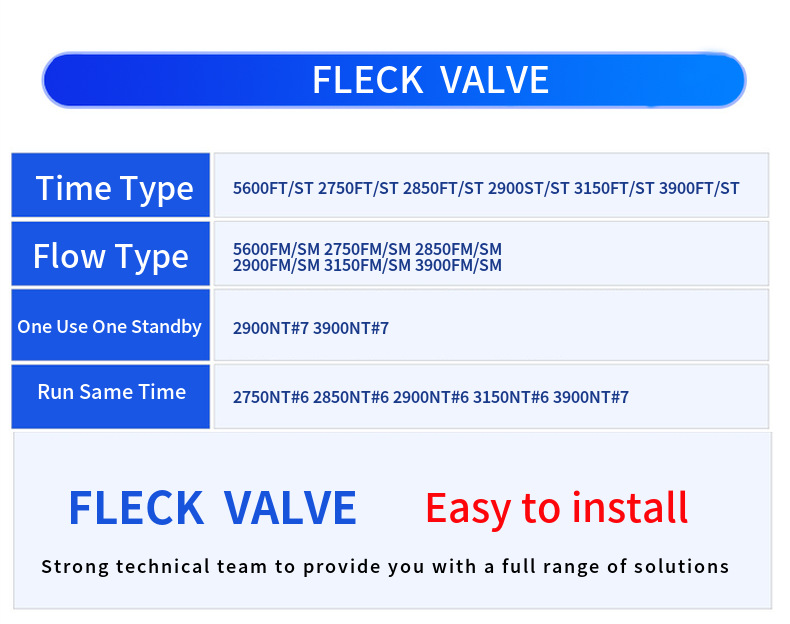 Fleck Valve 