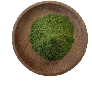 China Biostimulants Natural Growth Regulator Seaweed Polysaccharides Fertilizer Green Powder wholesale