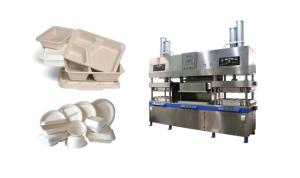 China Disposable Pulp Molding Bowl Cup Machine wholesale