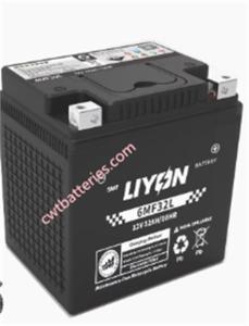 China Liyon 6MF32L 12V 32Ah Atv Battery AGM Gel Battery New Original wholesale