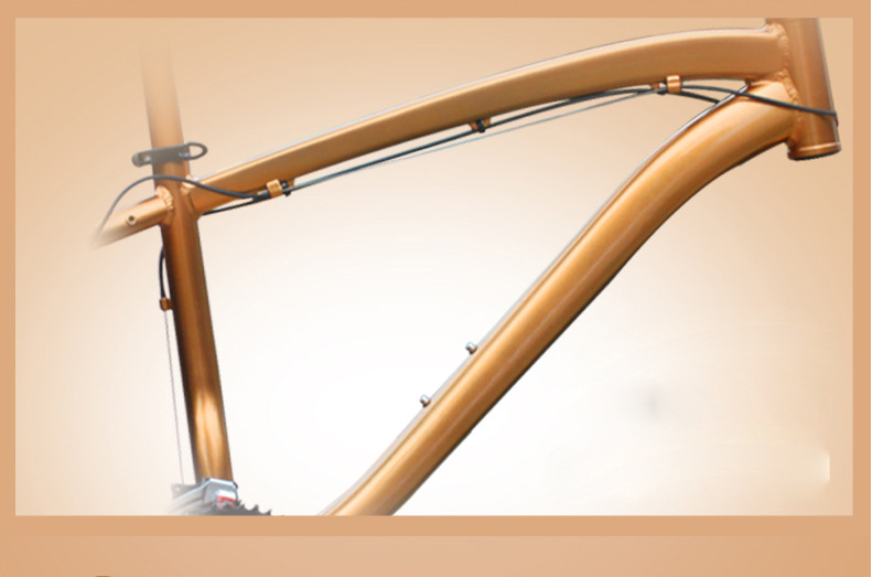 Gold 30 Speed 26x4.0 Inch Fat Wheel Mountain Bike