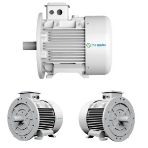 China 132KW 6000RPM 3 Phase Servo Air Cooled PM Synchronous Motor wholesale