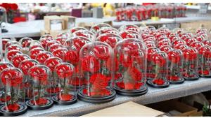 China rose gift Factory Wholesale Eternal Beautiful Forever Little Prince Roses preserved rose in glass wholesale