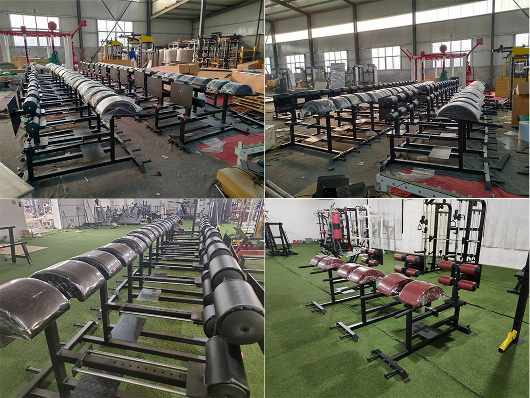 Commercial Gym Back Hyperextension GHD Glute Ham Developer Roman Chair