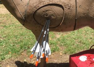 China 3d Target, Indoor Archery, Light Weight 19/64&quot; spine 300/350/400/500/600 straightness .001-.003&quot; Blast Carbon Arrows wholesale