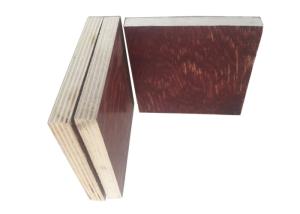 China No Deformation Poplar Core Pine Faced Plywood Weather Resistance wholesale