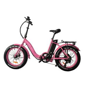 China 10ah 36v 20 Inch Electric Folding Bike 500 Watt Small Foldable Ebike wholesale