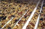 Papa Automatic Candy Bar Machine 100 - 250KG/H