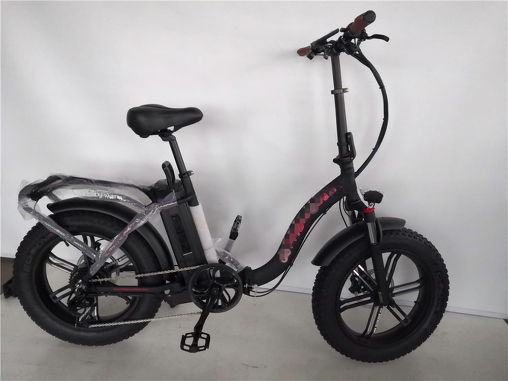 48V Electric Dual Motor 1000 Watt Long Range Fat Tire Cargo E-Bike with Fast Charging