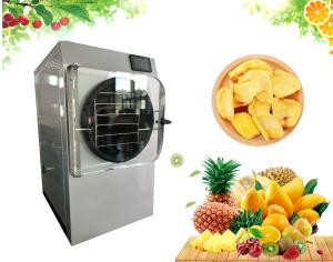 China Mini Food Food Freeze Drying Machine Electric Heating wholesale