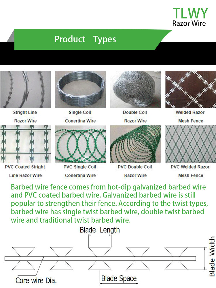 High Tensile Concertina Razor Wire CBT-65 With Single Coil