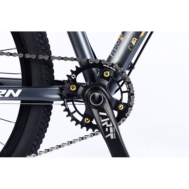 Custom Carbon Fiber Frame Mountain Bike Bicycle with Ltwoo A12 12s Gear 26/27.5/29 inch