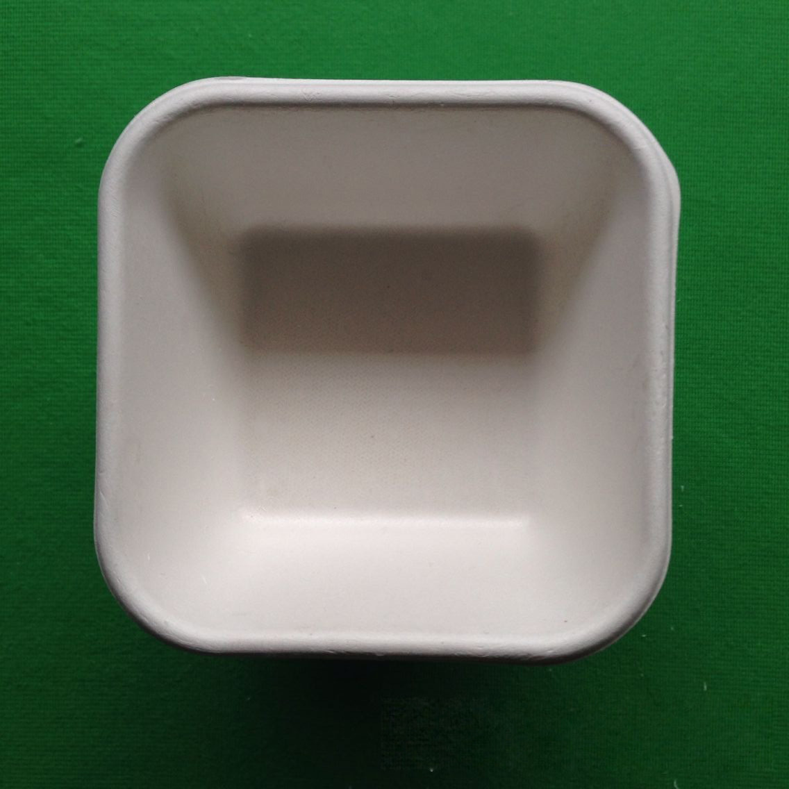 biodegradable eco-friendly dinnerware sugarcane square shaped food tray