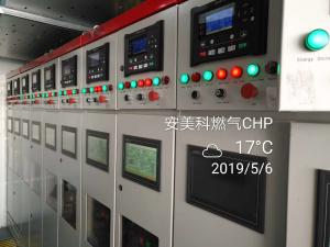 China Biogas Cogeneration Combined Heat And Power 50kw 5000kW wholesale