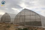 Commercial Large Agricultural Greenhouse UV Film Vegetable Hydroponic Greenhouse