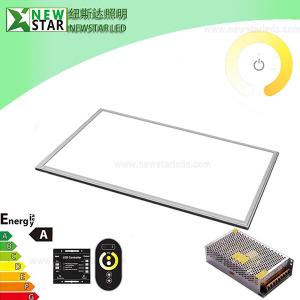 China 24W 600x300mm 24V Dual White LED Panel with RF Remote wholesale