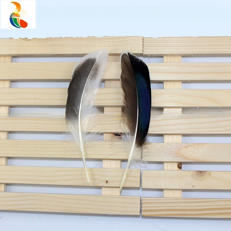 DIY Decoration Show Millinery Feather Natural Rooster Coque Feathers 4-6 Inches