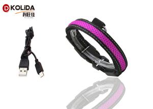 China Purple / Green USB Rechargeable LED Dog Collar Waterproof Flashing Dog Collar wholesale