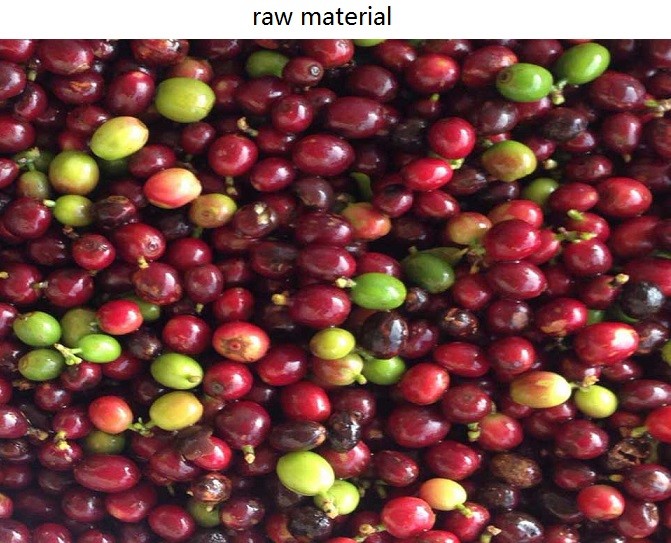 2.4 kw 5 Chute Coffee Beans Color Sorter