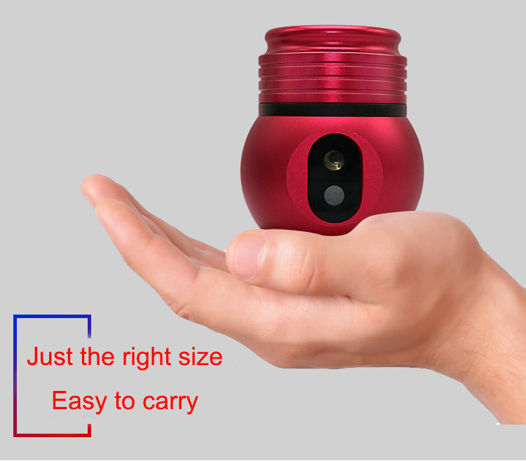 Mini Portable Laser Party Light Outdoor Christmas Laser Animation Light