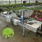 Top Coater and Granular Seeder Seed Cultivation Spotting Machine for Microgreens