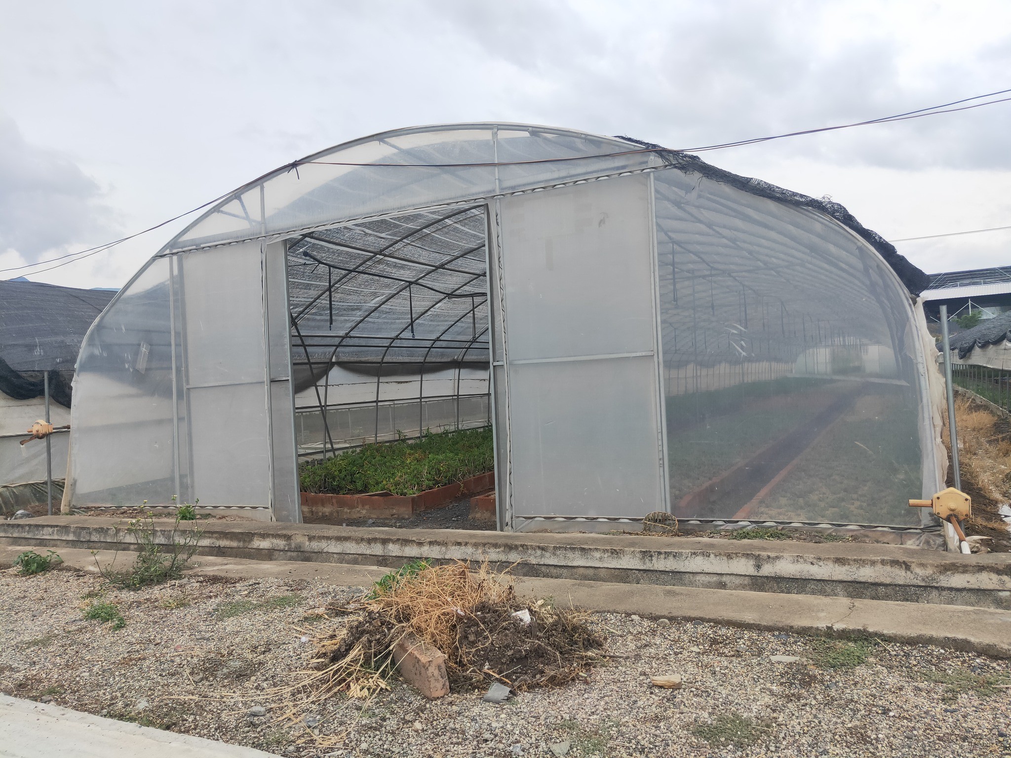 Hot Sale High Tunnel Plastic Single Span Greenhouse Agriculture For Vegetable Farm