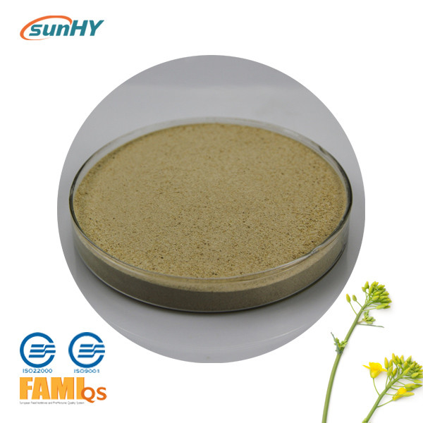 China Water Soluble Animal Feed Enzymes High Concentration Xylanase Enzym wholesale
