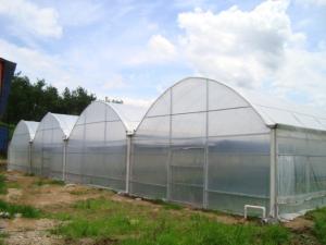 China Rainfall 140mm/H Large Green Houses , Dome Style Greenhouse Snow Load 0.45KN/㎡ wholesale