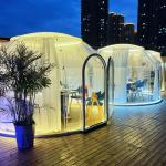 Temperature Resistance PC Aluminum 6m Geodesic Dome Clear Dome Tent