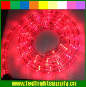 China outdoor christmas rope light 12/24v 1/2'' 2 wire led rope lights wholesale