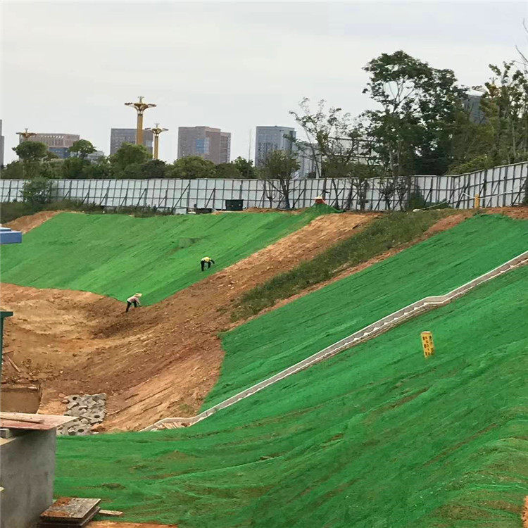 3D Geomat HDPE PE Plastic Net for 2.0m-2.5m Width Erosion Control and Drainage System