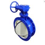 DN700 Double Eccentric Double Flange Butterfly Valve