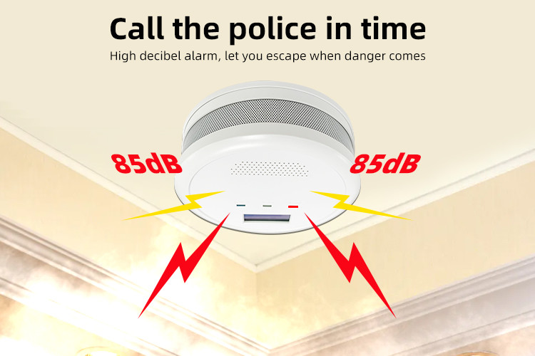 Carbon Monoxide Detector Alarms With Digital LCD Display
