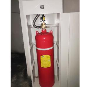 China 100L single cabinet FM200 computer room database gas fire extinguisher wholesale
