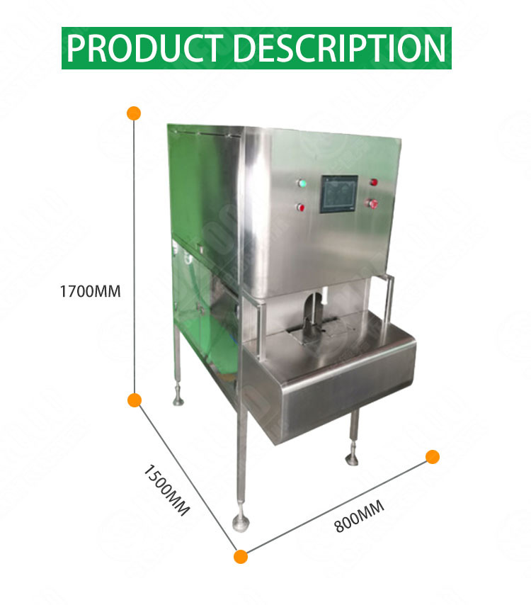 Pineapple Apple Peeling Automatic Food Processing Machines