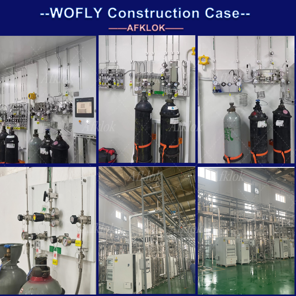 Adjustable Stainless Steel Back Pressure Valve 300psi Oxygen Nitrogen Helium Hydrogen Argon Carbon Dioxide Air Pressure