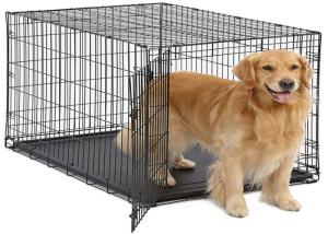 China 3 Sizes Stainless Steel Premium Heavy Duty Pet Dog Crate Cage Kennel For Medium Large Sized Dogs wholesale