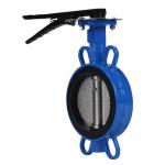 DN50 PN16 Ductile Iron Handle Clamp Soft Seal Butterfly Valve Bolted Connections