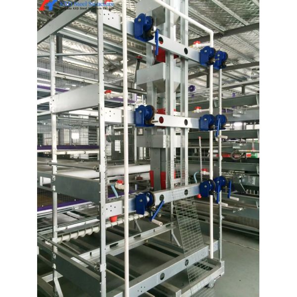 KXD Poultry House Equipment Automatic Broiler Feeding System For Broilers / Layers
