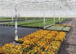Fish Farming Low Cost Greenhouse , Modular Glass Greenhouse Long Lifetime