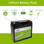 Large Capacity 12V LiFePO4 Battery 18ah Lithium Phosphate Battery