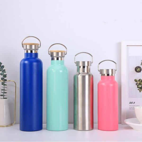 17 oz Stainless Steel Sports Water Bottle Insulated Reusable Water Bottles with Handle Metal Bottle for Hikers Gift