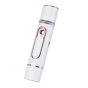 China Electronic Facial Nano Spray Under Eye Massager Beauty Tools White wholesale
