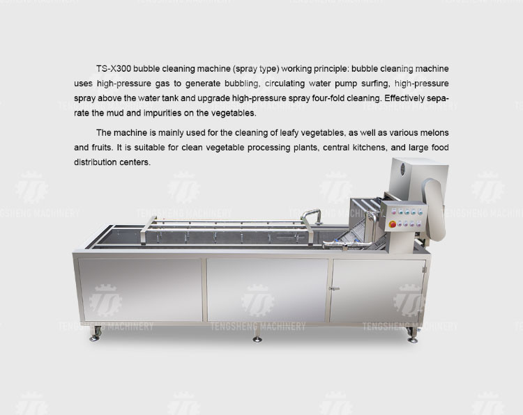 240KG Fruit Bubble High Pressure Spray Washing Machine 1500KG/H Multifunction