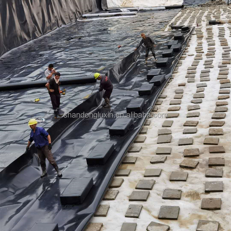 Double-Sided Column Point Geomembrane for Slope Protection and 0.3mm-2.8mm Thickness