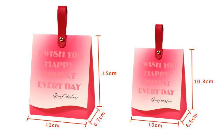 Custom Color Accepted Christmas Kraft Paper Gift Bag with Customized Logo and Color