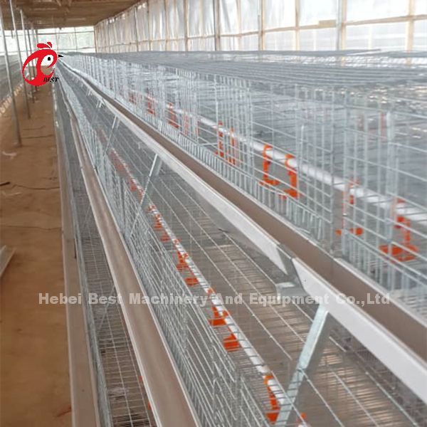 A Type Broiler Battery Cage Galvanized High Strength Poultry Broiler Cage Iris
