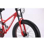 Fat Tire Bike Fatbike Customizable Cruiser Snow Full Suspension Mountain Cycle