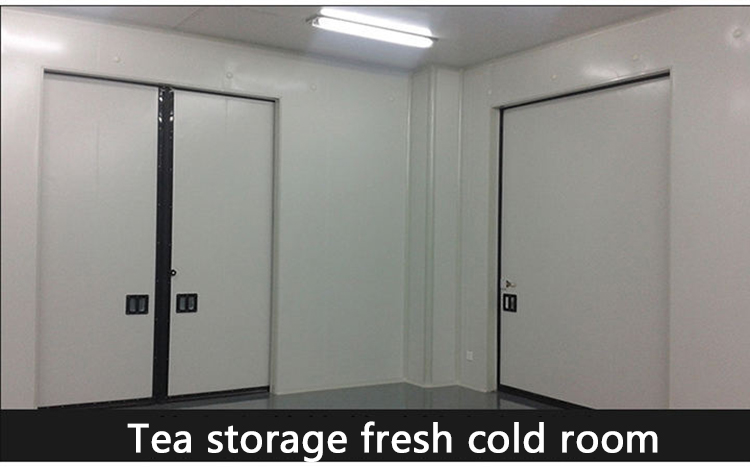 Icemedal Blast Walk In Freezer Room For Fish Meat Vegetable 220v/60hz/3ph